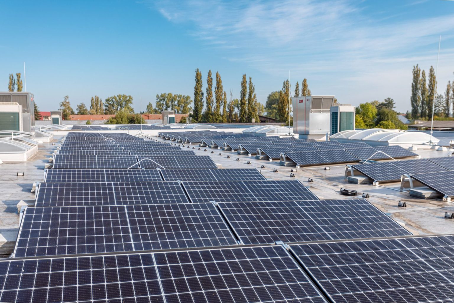 LAMARK- udržitelná a odpovědná společnost