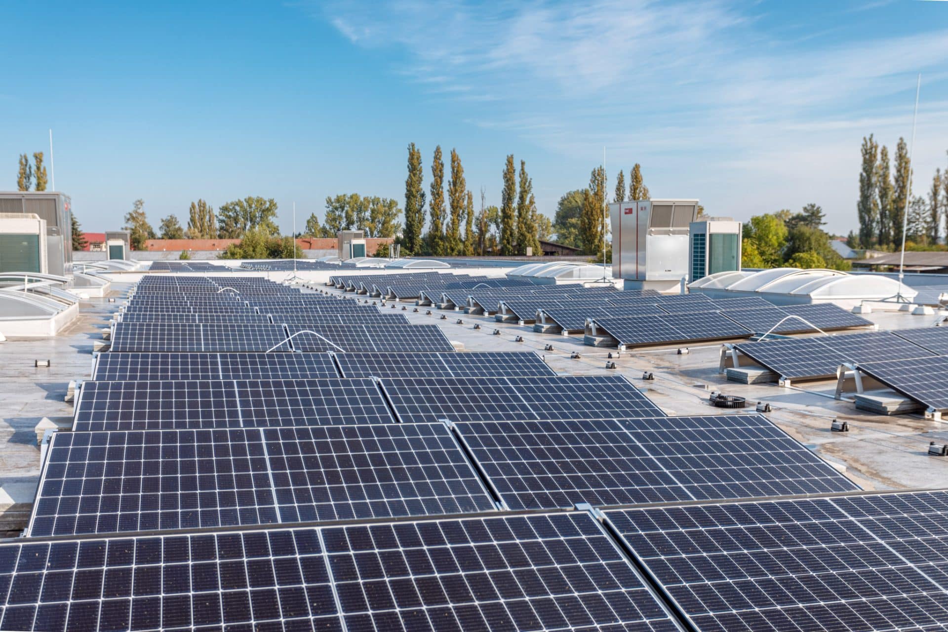 LAMARK- udržitelná a odpovědná společnost